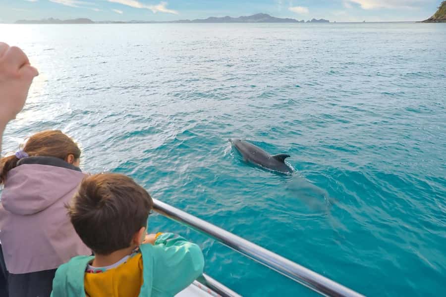 Auckland: 2-Day Bay of Islands Small Group Tour with Cruise - Who should choose this tour?