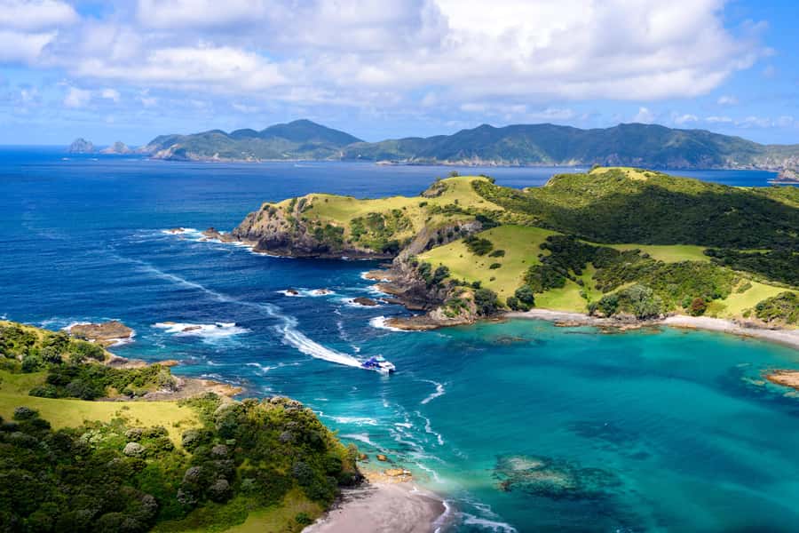 Auckland: Bay of Islands Day Tour with Dolphin Cruise - Leaving Paihia for the three-hour cruise