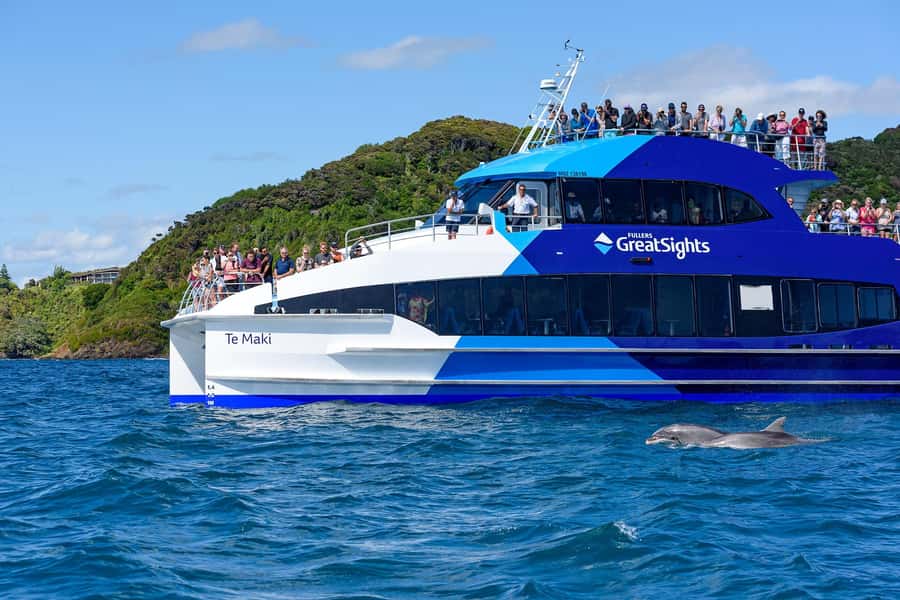 Auckland: Bay of Islands Day Tour with Dolphin Cruise - Wildlife watching with realistic expectations