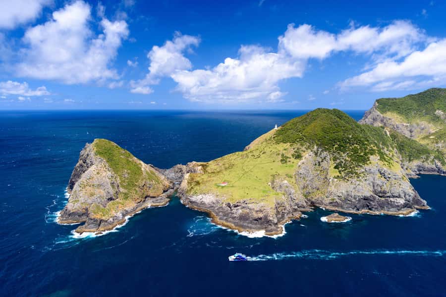 Auckland: Bay of Islands Day Tour with Dolphin Cruise - Who will enjoy this day most