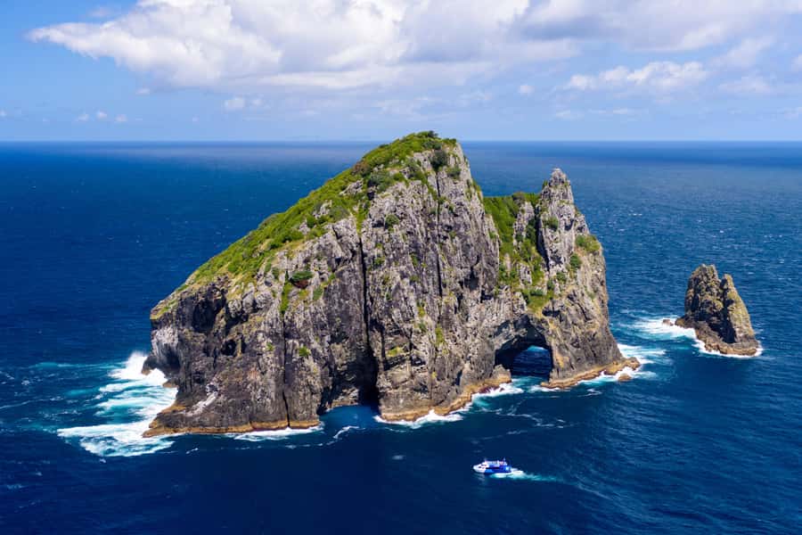 Auckland: Bay of Islands Day Tour with Dolphin Cruise - Small details that make the day easier