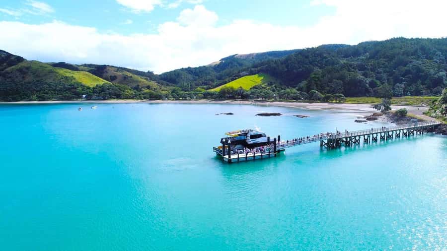 Auckland: Man O' War Vineyard Ferry (Waiheke Island) - The scenic 90-minute crossing via Rotoroa Island