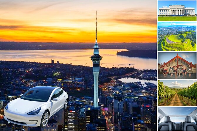 Auckland: Tikapa Moana Dolphin, Whale and Island Cruise - Is $105.50 good value?
