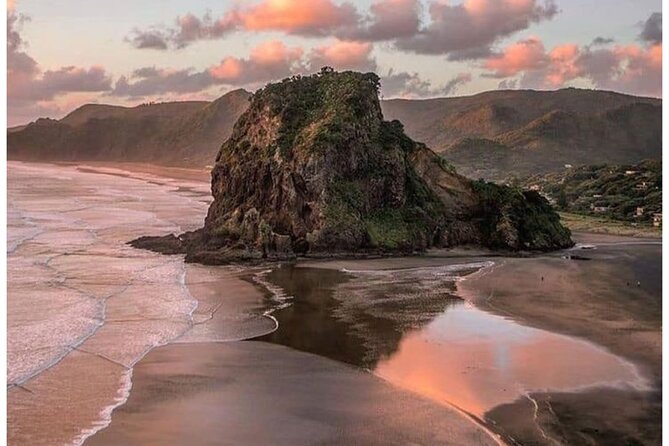 Auckland: Tikapa Moana Dolphin, Whale and Island Cruise - Practical details before you book