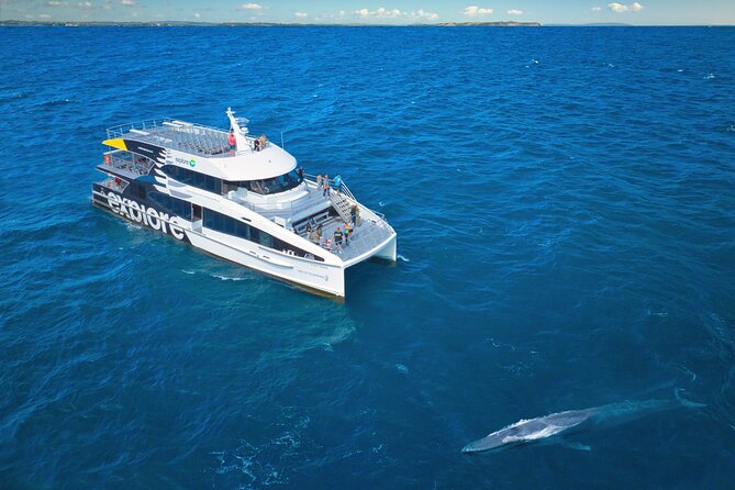 Auckland: Tikapa Moana Dolphin, Whale and Island Cruise - Rotoroa Island: walks, beaches, and native wildlife