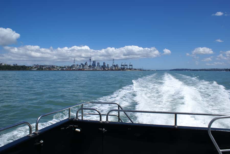 Auckland: Tikapa Moana Whales, Dolphins and Islands Cruise - Rotoroa Island: the better choice for walking and nature