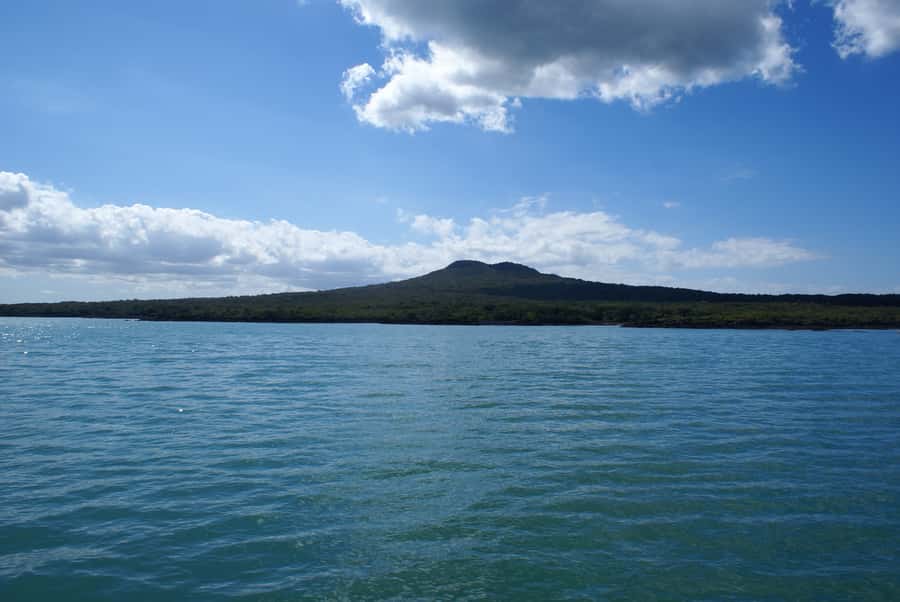 Auckland: Tikapa Moana Whales, Dolphins and Islands Cruise - Man O’ War Vineyard: wine, lunch, and a shorter-feeling stop