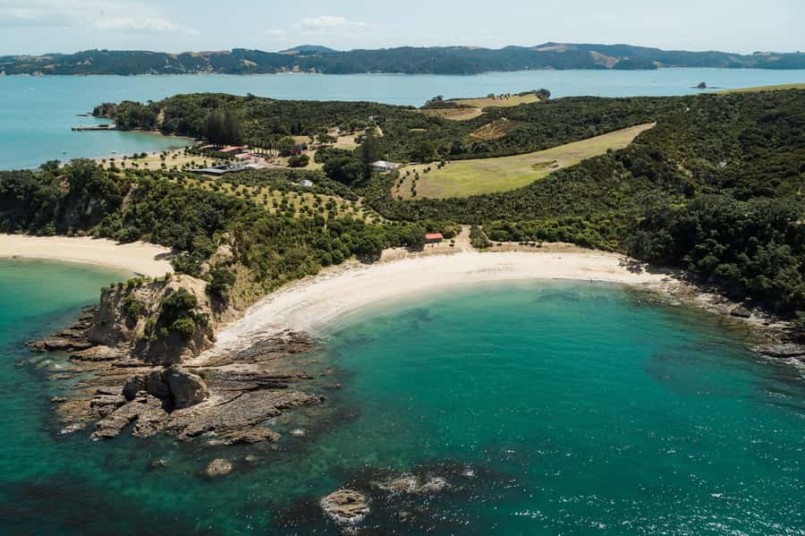 Auckland: Tikapa Moana Whales, Dolphins and Islands Cruise - Summer schedules and the best departure to choose