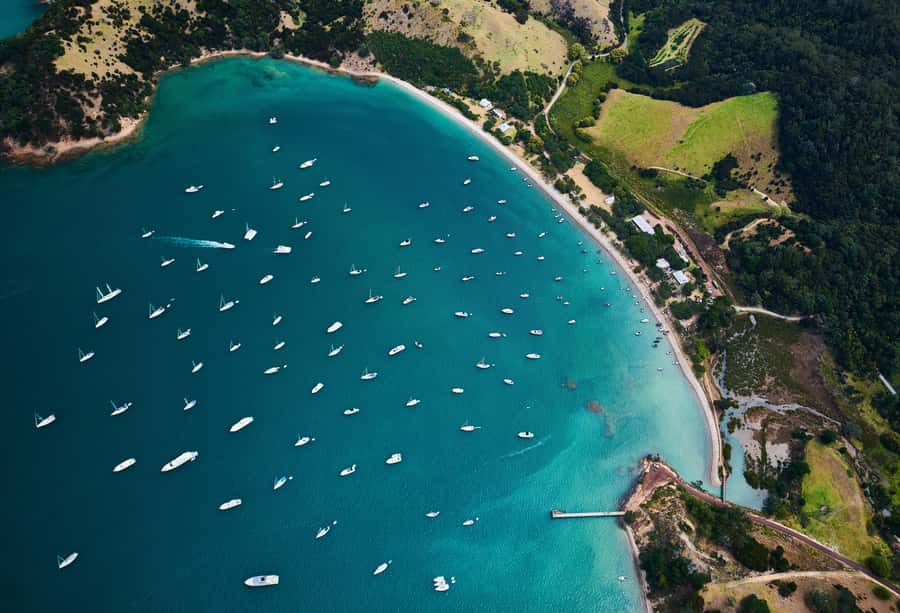 Auckland: Tikapa Moana Whales, Dolphins and Islands Cruise - Comfort, weather, and seasickness
