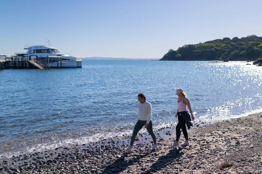 Auckland: Tiritiri Matangi Island Ferry - Why Tiritiri Matangi feels different from Auckland
