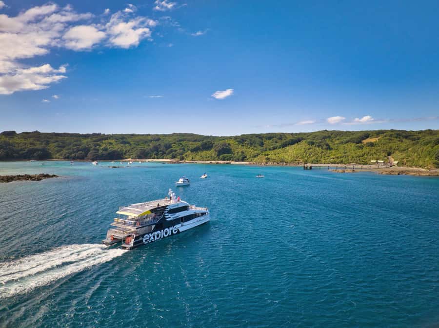 Auckland: Tiritiri Matangi Island Ferry - The ferry from Auckland or Gulf Harbour