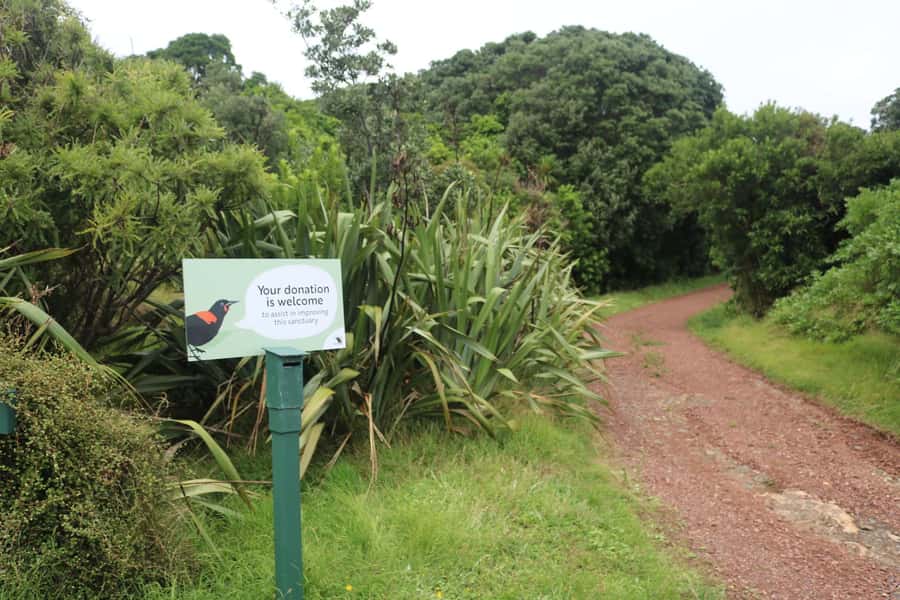 Auckland: Tiritiri Matangi Island Ferry - What the $65 price includes