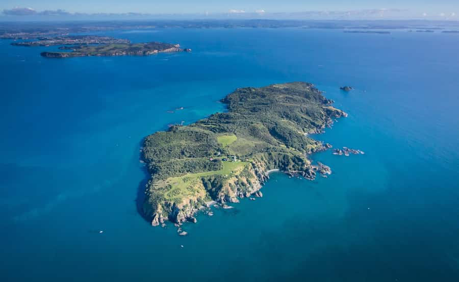 Auckland: Tiritiri Matangi Island Ferry - Arriving at the island sanctuary