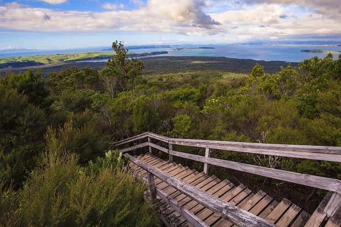 Auckland to Rangitoto Island Ferry - Why Rangitoto makes a good Auckland half-day trip