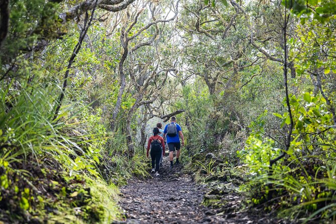 Auckland to Rangitoto Island Ferry - Is the $37.23 price good value?