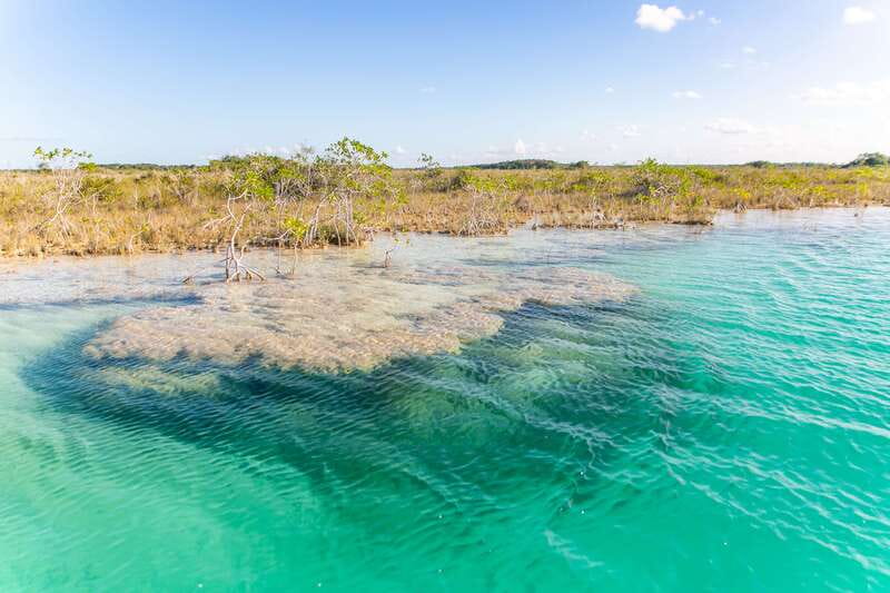 Bacalar: Private Boat Tour - Pirate Canal, Cenotes & Islands - Cenote Negro and the shift from bright to dark water