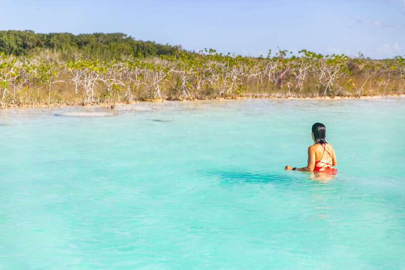 Bacalar: Private Boat Tour - Pirate Canal, Cenotes & Islands - Bird Island, wildlife, and another swim