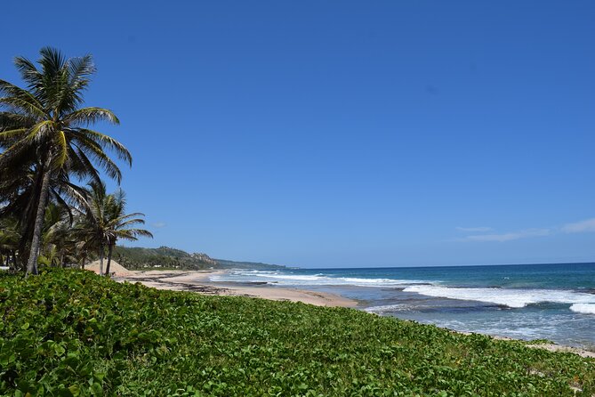 Barbados Shore Excursion Island Tour and Snorkel Cruise - Key things to know before you book