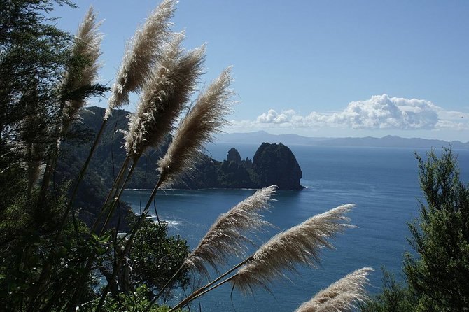 Bay of Islands 2-Day Small Group Tour & Cruise from Auckland - Waitangi makes the first day more than a scenic drive