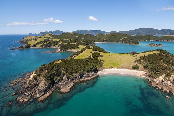 Bay of Islands 2-Day Small Group Tour & Cruise from Auckland - Tāne Mahuta brings you into the Waipoua Forest