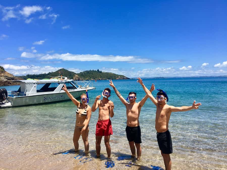 Bay of Islands: 4.5 Hour Day Cruise and Island Getaway Tour - Sailing through the Hole in the Rock