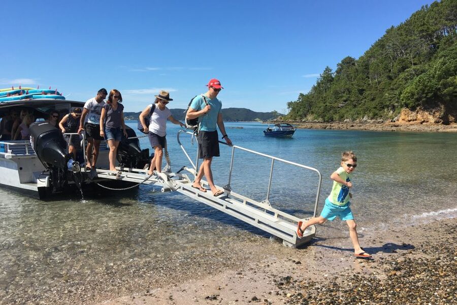 Bay of Islands: 4.5 Hour Day Cruise and Island Getaway Tour - Wildlife sightings are possible, not promised
