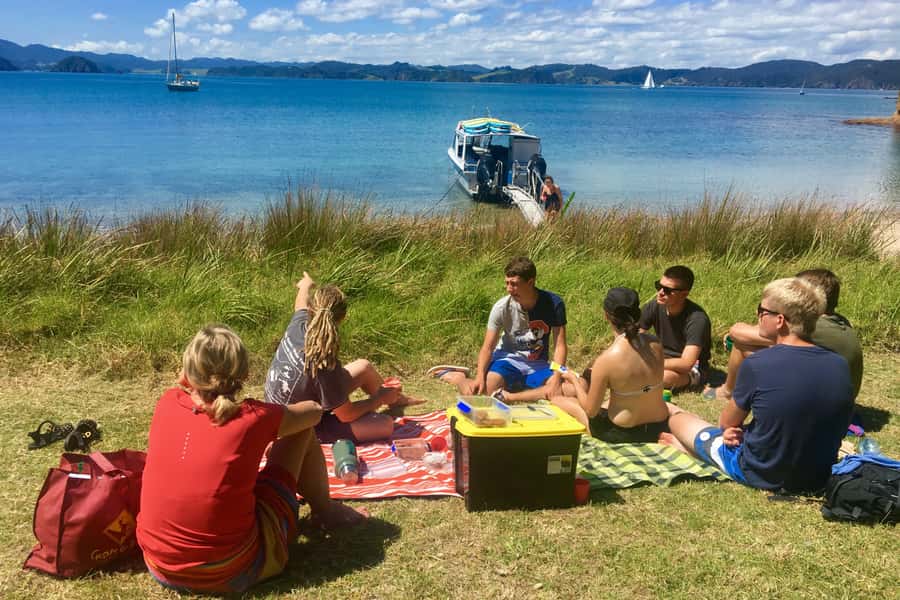 Bay of Islands: 4.5 Hour Day Cruise and Island Getaway Tour - Commentary that keeps the trip moving