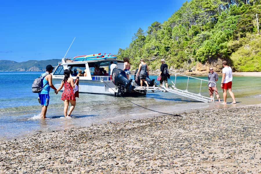 Bay of Islands: 4.5 Hour Day Cruise and Island Getaway Tour - Cruising among 144 islands