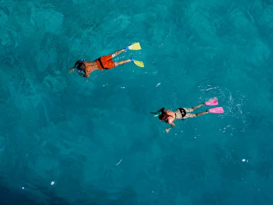 Bay of Islands: Awesome Day Sailing Tour with Island Stop - Should you book this Bay of Islands sailing tour?