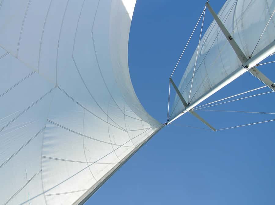 Bay of Islands: Awesome Day Sailing Tour with Island Stop - The Bay of Islands by sail, not motor