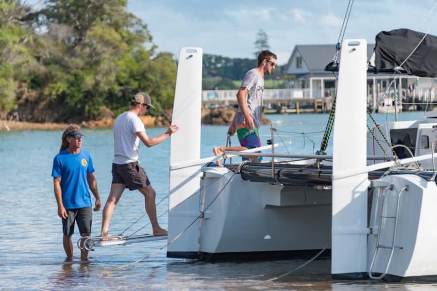 Bay of Islands: Catamaran Sail, Wildlife Island & Lunch - Key points at a glance