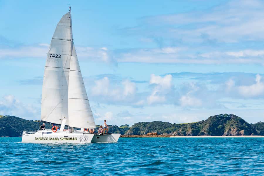 Bay of Islands: Catamaran Sail, Wildlife Island & Lunch - Four hours on the Bay of Islands