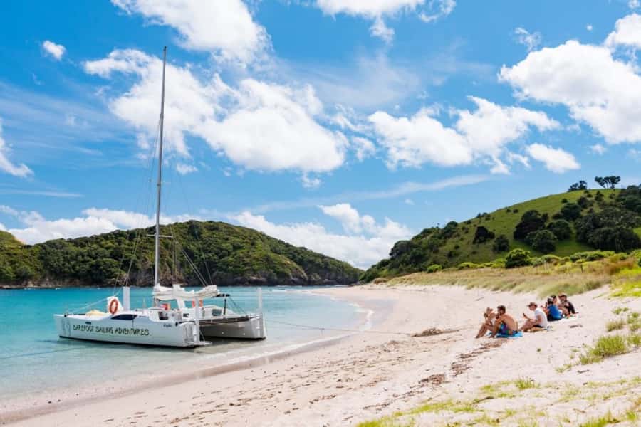 Bay of Islands: Catamaran Sail, Wildlife Island & Lunch - The return sail to Paihia