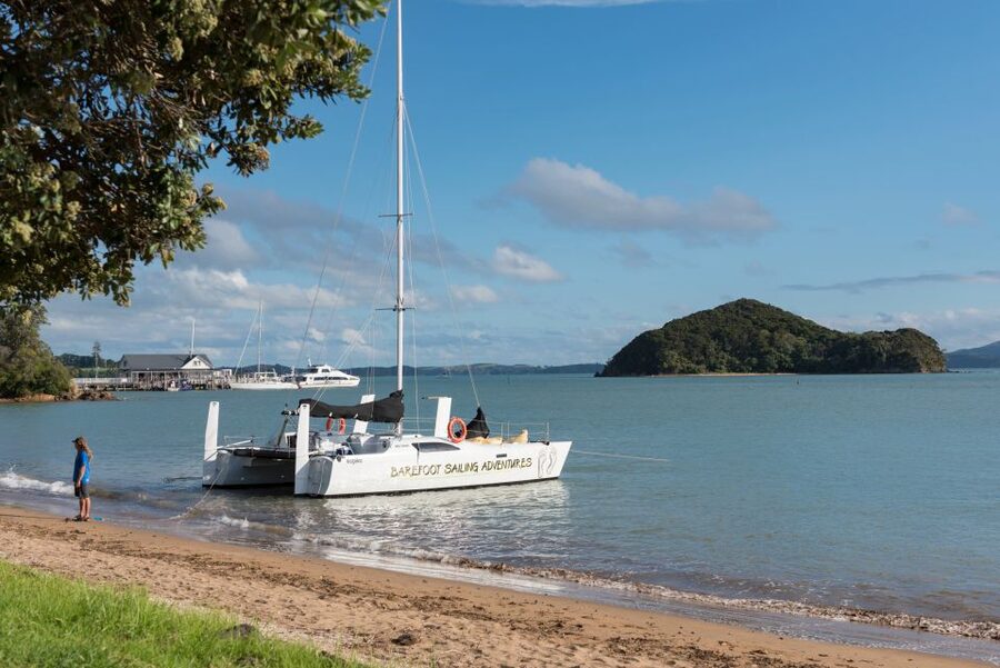 Bay of Islands: Catamaran Sail, Wildlife Island & Lunch - Is $134 good value?