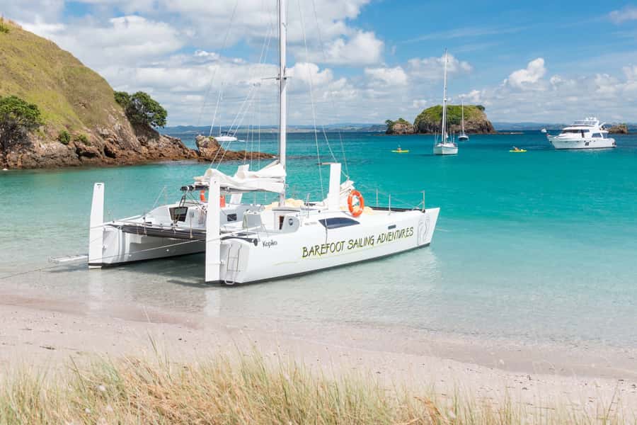 Bay of Islands: Catamaran Sail, Wildlife Island & Lunch - Who should book this day?