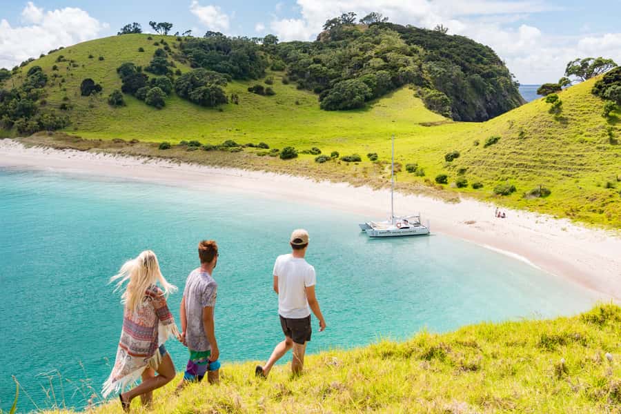 Bay of Islands: Catamaran Sail, Wildlife Island & Lunch - Wildlife sightings without a forced schedule