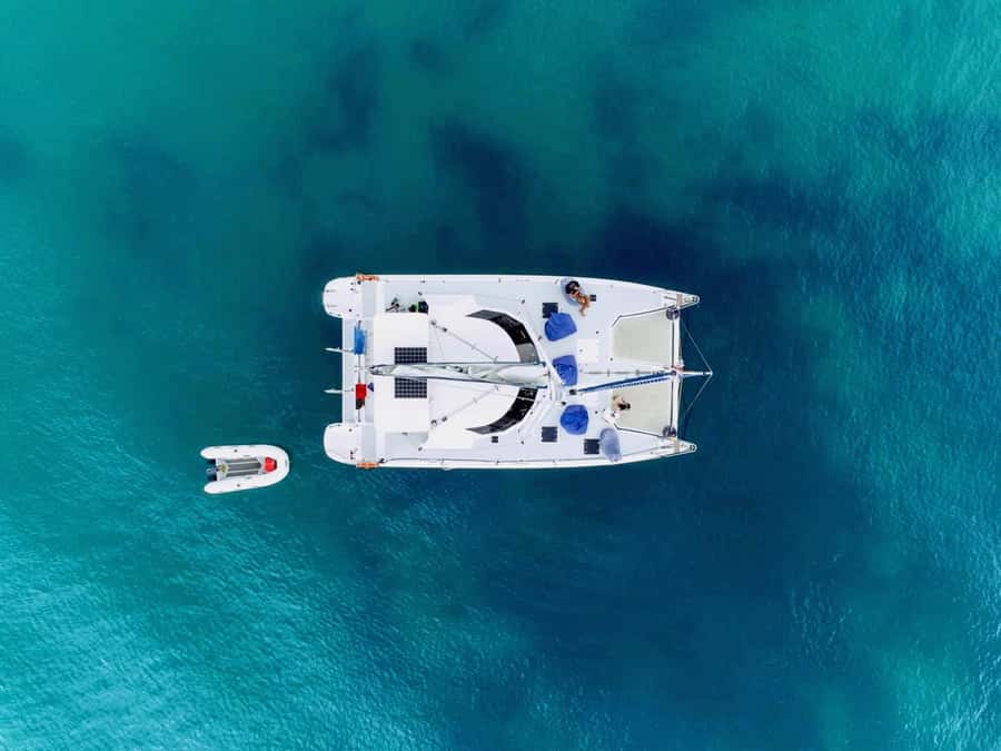 Bay of Islands: Day Sailing Cruise with Island Stop & Lunch - At a glance