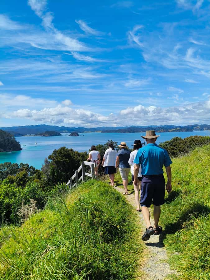 Bay of Islands: Day Sailing Cruise with Island Stop & Lunch - Leaving Paihia for the Bay of Islands