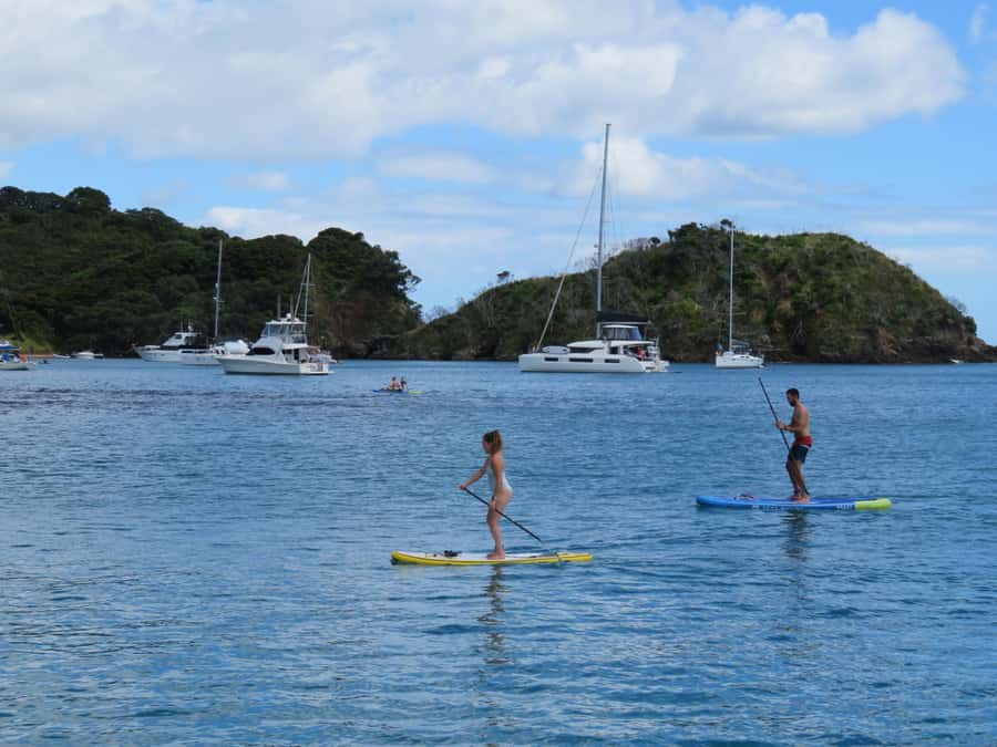 Bay of Islands: Day Sailing Cruise with Island Stop & Lunch - The return sail to Paihia