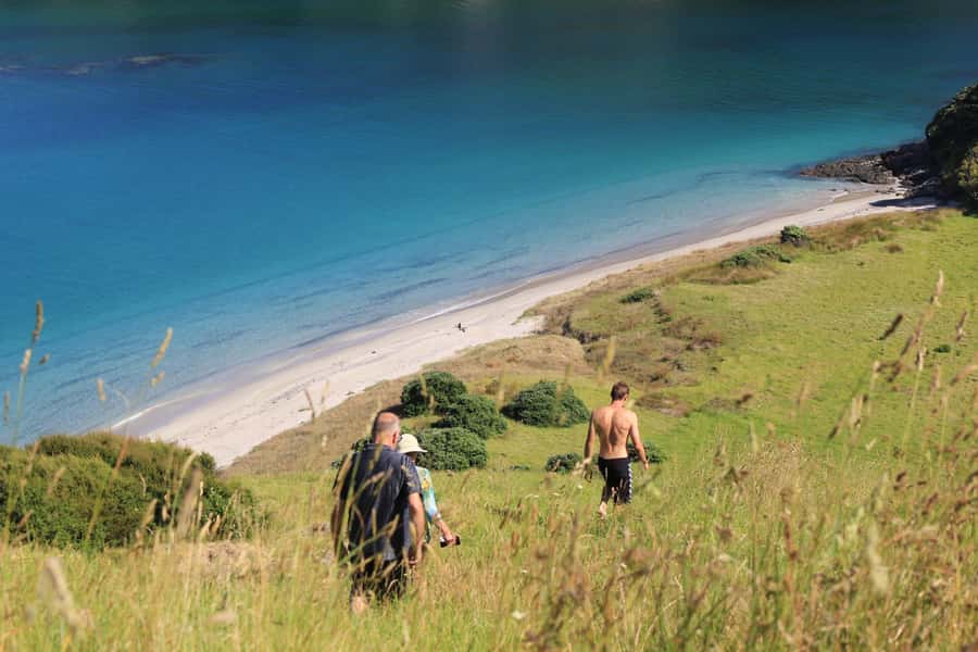 Bay of Islands: Day Sailing Cruise with Island Stop & Lunch - Who will enjoy this day most