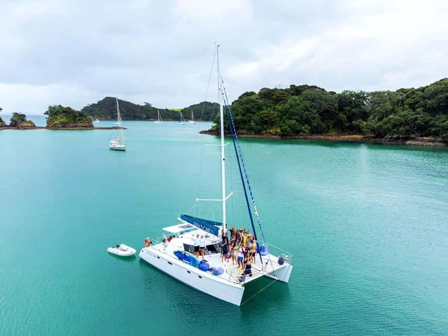 Bay of Islands: Day Sailing Cruise with Island Stop & Lunch - Practical tips for a smoother day