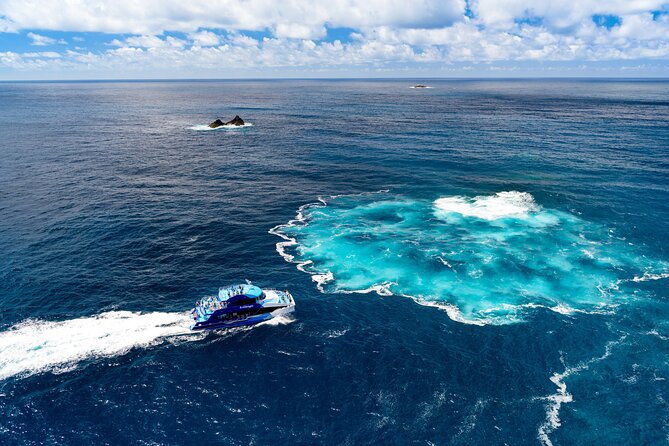 Bay of Islands Discovery Experience from Auckland incl. Hole In The Rock Cruise - Leaving Auckland in a private minibus
