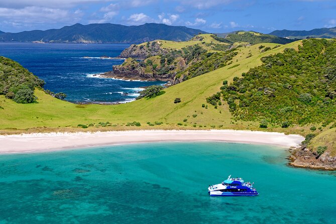 Bay of Islands Discovery Experience from Auckland incl. Hole In The Rock Cruise - Watching for dolphins, whales, seals, and birds