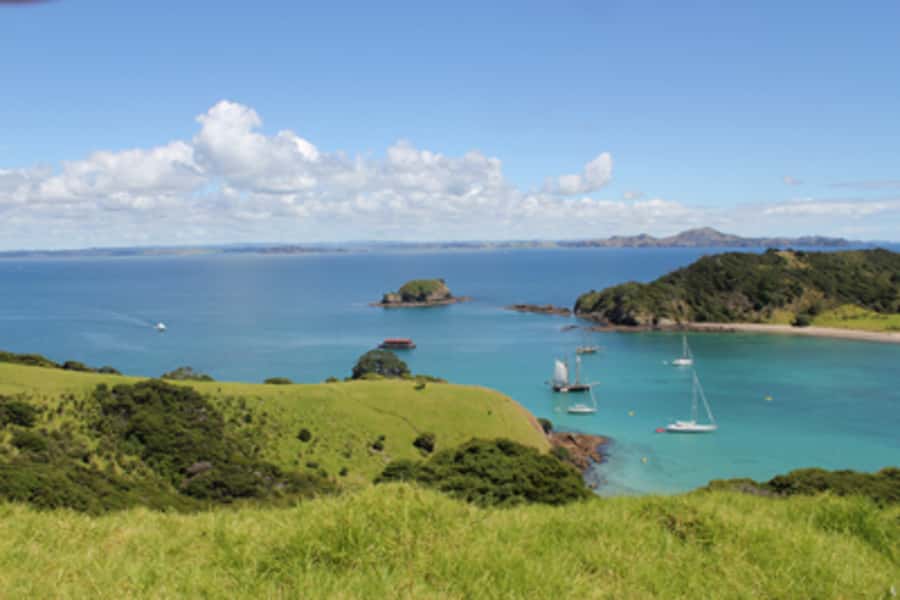 Bay of Islands: Full-Day Tall Ship Sailing Excursion - How the $107 price measures up