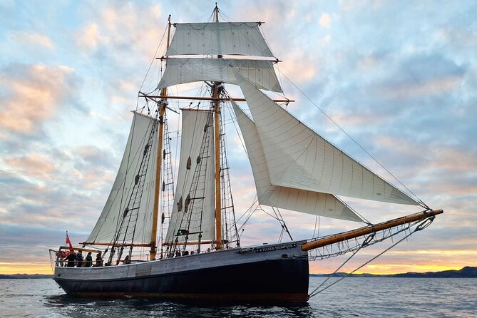 Bay of Islands Tall Ship Sundowner Sailing - Key points to know before you sail