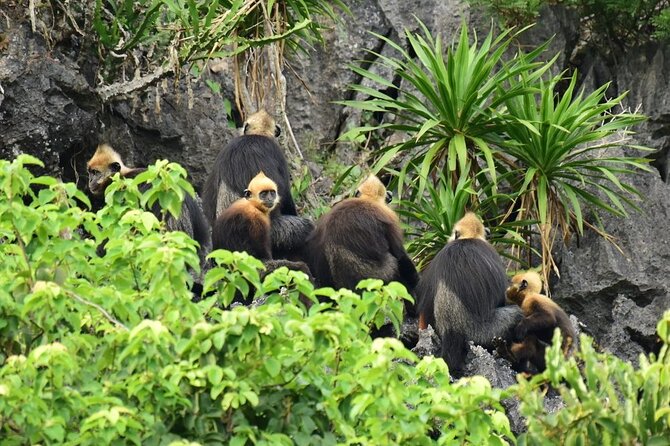 BEST UNIQUE 3-Day Halong Bay Cruise, Lan Ha & Cat Ba Island - Sunset, dinner, and a night on the boat