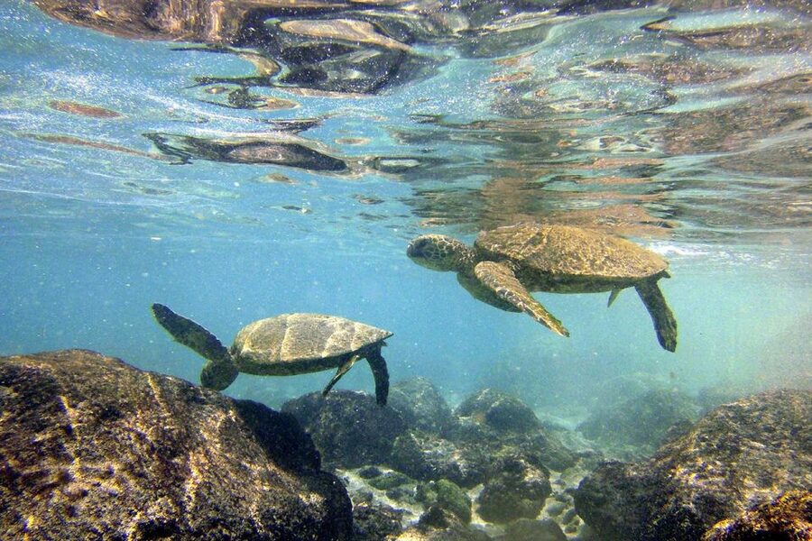 Big Island: Kona Half-Day Boat Tour with Snorkeling & Lunch - Leaving Keauhou Bay for the Kona Coast