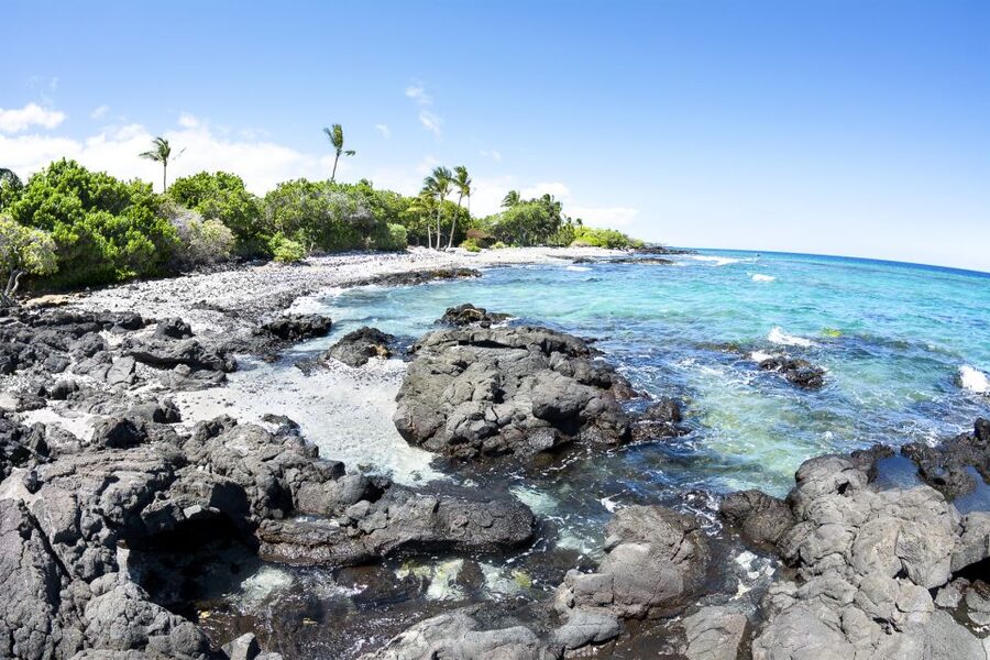 Big Island: Luxury Catamaran Trip along the Kona Coast - Life aboard the 51-foot No Wiki