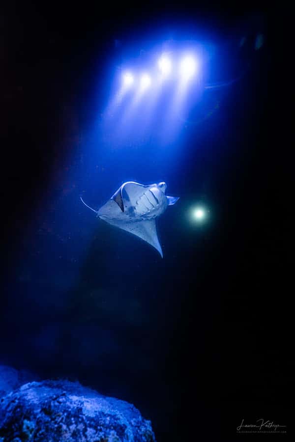 Big Island: Manta Ray Snorkel Boat Tour - A 20-Minute Safety Briefing Before Departure