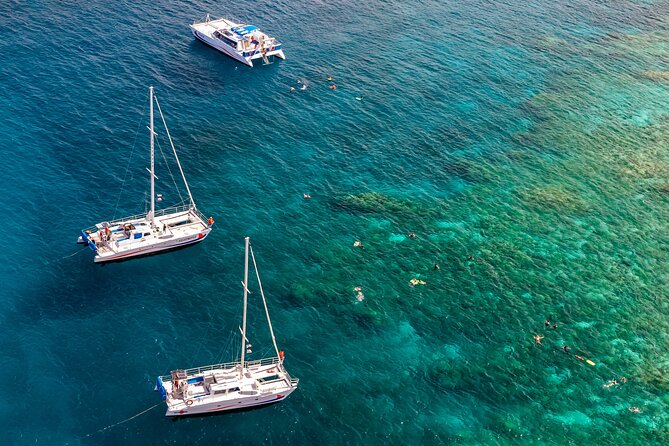 Big Island Snorkel Cruise from Waikoloa - Key points to know before booking